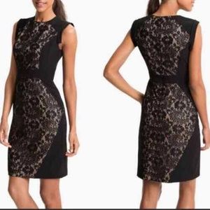 New- Adrianna Papell Dress